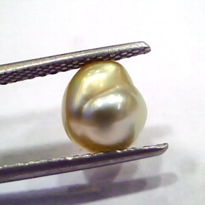 2.48 Ct Certified Natural Venunjula Real Sea Pearl, Real Moti