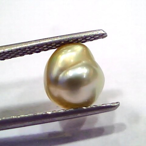 2.48 Ct Certified Natural Venunjula Real Sea Pearl, Real Moti