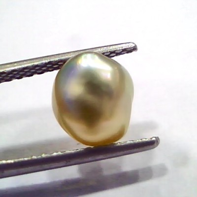 2.48 Ct Certified Natural Venunjula Real Sea Pearl, Real Moti