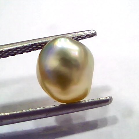 2.48 Ct Certified Natural Venunjula Real Sea Pearl, Real Moti