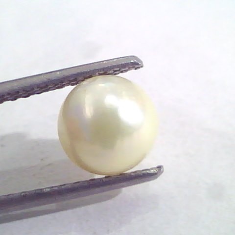4.34 Ct Natural Certified Real South Sea Pearl,Certified Moti