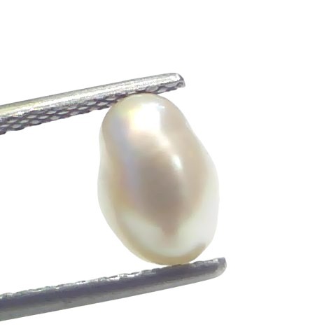 2.56 Ct Certified Natural Venunjula Real Sea Pearl Real Moti For Moon 2.56 Ct Certified Natural Venunjula Real Sea Pearl Real Moti For Moon