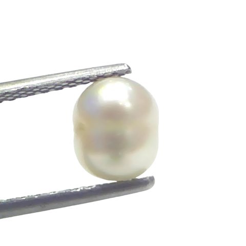 2.58 Ct Certified Natural Venunjula Real Sea Pearl Real Moti For Moon 2.58 Ct Certified Natural Venunjula Real Sea Pearl Real Moti For Moon