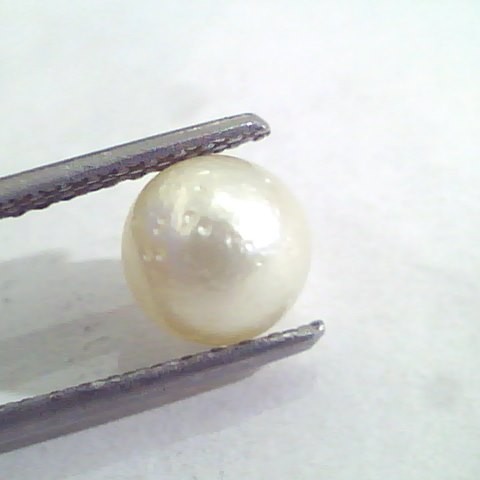 2.54 Ct Natural Certified Real South Sea Pearl,Certified Moti