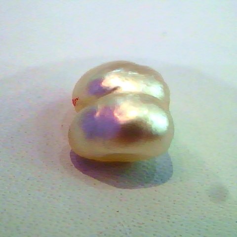 2.60 Ct Natural Venunjula Real Pearl/Moti Certified No culture