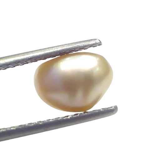 2.60 Ct Certified Natural Venunjula Real Sea Pearl Real Moti For Moon 2.60 Ct Certified Natural Venunjula Real Sea Pearl Real Moti For Moon