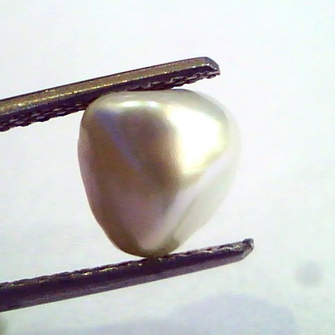2.61 Carat Certified Natural Keshi Pearl,Certified Moti