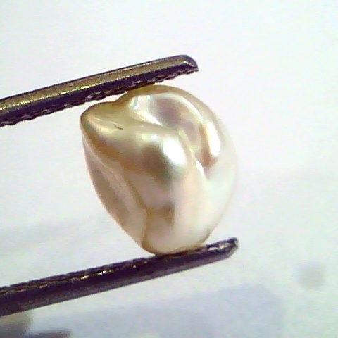 2.62 Carat Certified Natural Keshi Pearl,Certified Moti