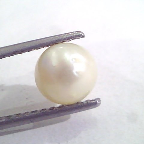 4.31 Ct Natural Certified Real South Sea Pearl,Certified Moti