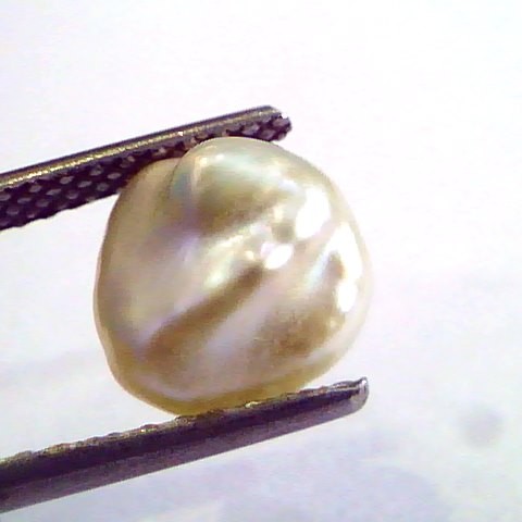 2.67 Carat Certified Natural Keshi Pearl,Certified Moti