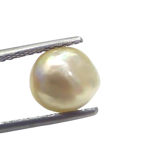 2.68 Ct Certified Natural Venunjula Real Sea Pearl Real Moti For Moon 2.68 Ct Certified Natural Venunjula Real Sea Pearl Real Moti For Moon
