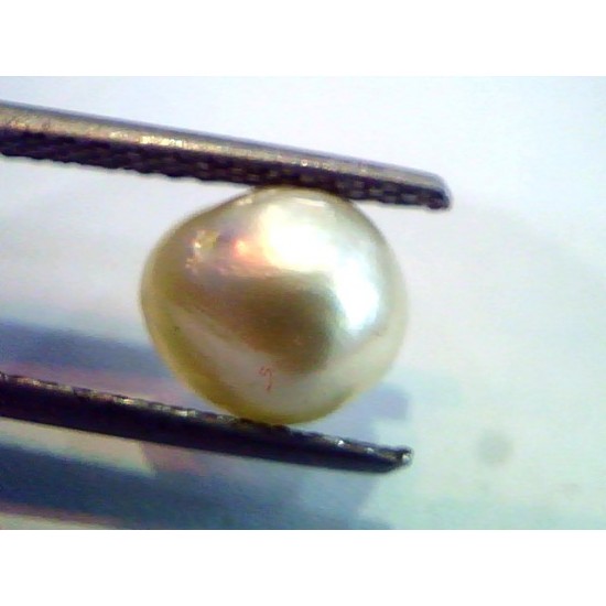 2.69 Ct Natural Real Pearl From Venunjula,Real Moti