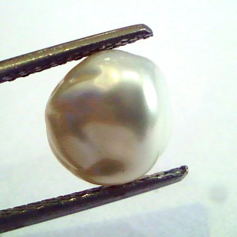 2.70 Carat Certified Natural Keshi Pearl,Certified Moti