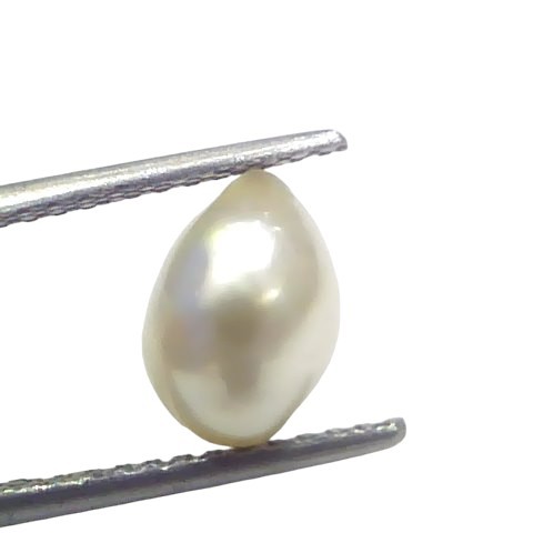 2.70 Ct Certified Natural Venunjula Real Sea Pearl Real Moti For Moon 2.70 Ct Certified Natural Venunjula Real Sea Pearl Real Moti For Moon