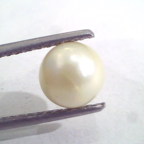 4.38 Ct Natural Certified Real South Sea Pearl,Certified Moti