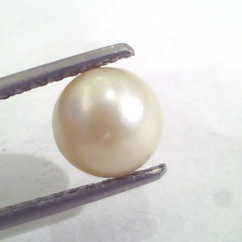 4.39 Ct Natural Certified Real South Sea Pearl,Certified Moti