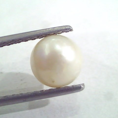 4.43 Ct Natural Certified Real South Sea Pearl,Moti