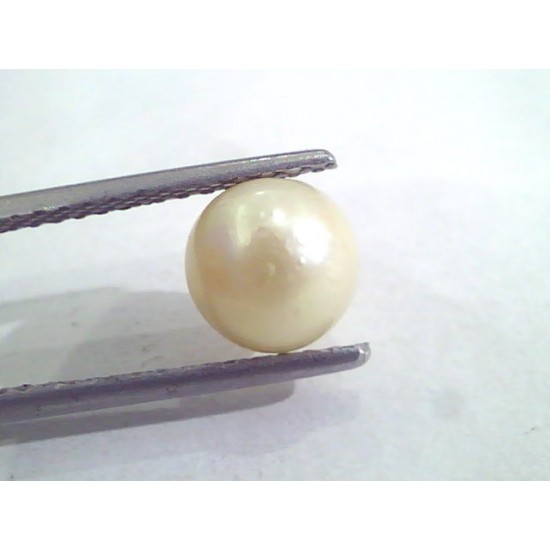 2.78 Ct Natural Certified Real South Sea Pearl,Certified Moti