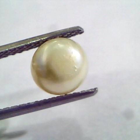 2.79 Ct,5.07 Chaw Natural Basra Pearl,Real Basra Moti Certified