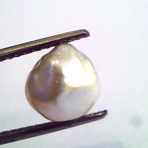 2.79 Carat Certified Natural Keshi Pearl,Certified Moti