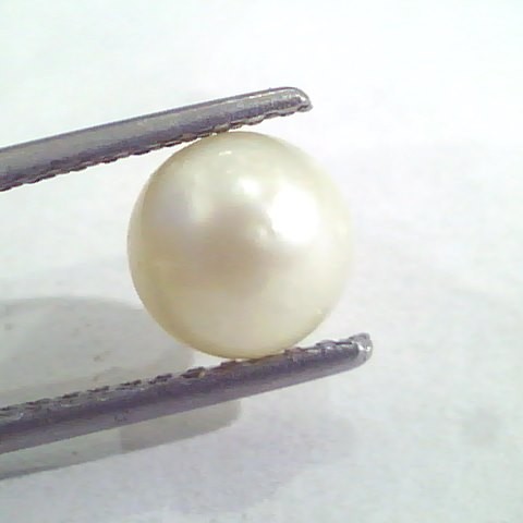 2.80 Ct Natural Certified Real South Sea Pearl,Certified Moti