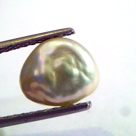 2.80 Carat Certified Natural Keshi Pearl,Certified Moti