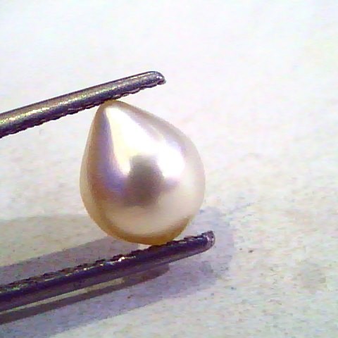 2.81 Ct Certified Natural Venunjula Real Pearl/Real Moti