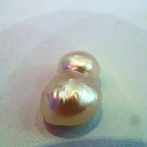 2.83 Ct Natural Venunjula Real Pearl/Moti Certified No culture