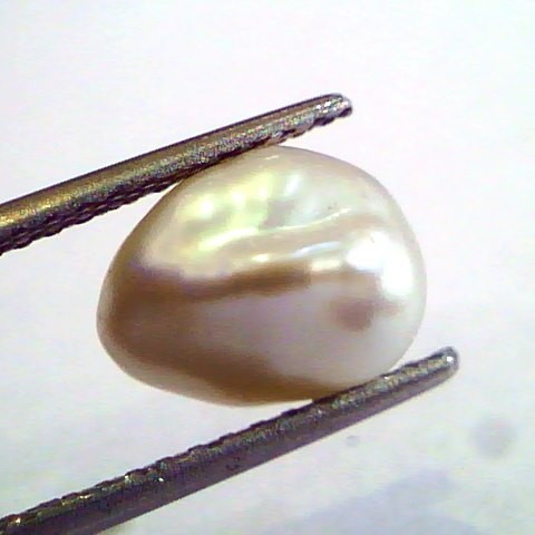 2.84 Carat Certified Natural Keshi Pearl,Certified Moti
