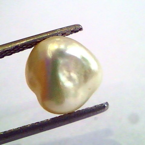 2.85 Carat Certified Natural Keshi Pearl,Certified Moti