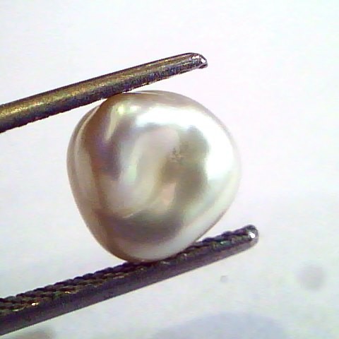 2.85 Carat Certified Natural Keshi Pearl,Certified Moti For moon