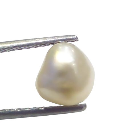 2.86 Ct Certified Natural Venunjula Real Sea Pearl Real Moti For Moon 2.86 Ct Certified Natural Venunjula Real Sea Pearl Real Moti For Moon