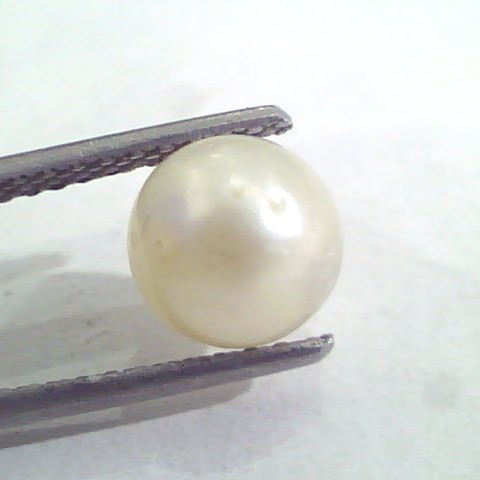 2.89 Ct Natural Certified Real South Sea Pearl,Certified Moti
