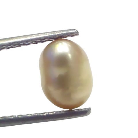 2.93 Ct Certified Natural Venunjula Real Sea Pearl Real Moti For Moon