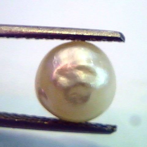 2.95 Ct Natural Venunjula Real Pearl/Moti Certified No culture