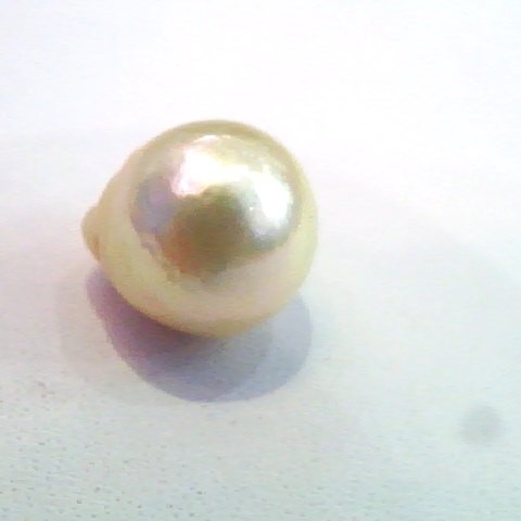 4.91 Carat Natural Certified Real South Sea Pearl,Moti
