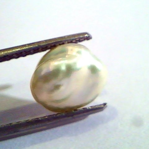 2.99 Carat Certified Natural Keshi Pearl,Certified Moti