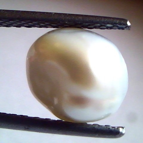 3.06 Carat Certified Natural Real Keshi Pearl,Moti