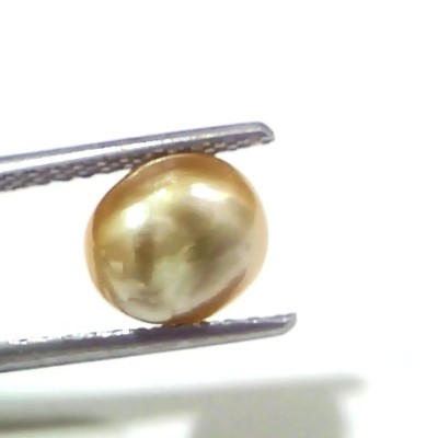 3.00 Ct Certified Natural Venunjula Real Sea Pearl, Real Moti