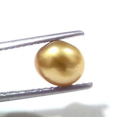 3.00 Ct Certified Natural Venunjula Real Sea Pearl, Real Moti