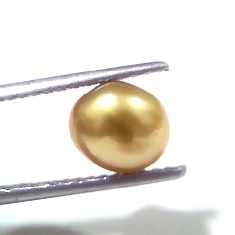 3.00 Ct Certified Natural Venunjula Real Sea Pearl, Real Moti