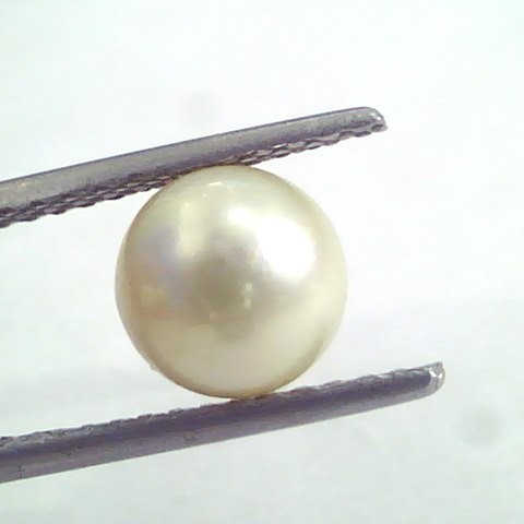 3.00 Ct Natural Certified Real South Sea Pearl,Certified Moti