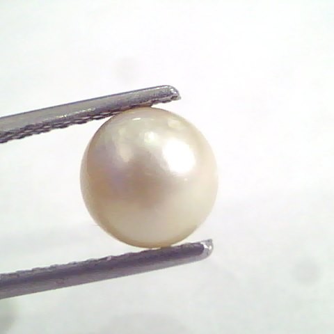 3.00 Ct Natural Certified Real South Sea Pearl,Moti