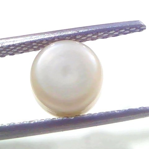 3.02 Ct 5.94 Chaw Natural Basra Pearl Real Basra Moti Certified