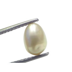 3.06 Ct Certified Natural Venunjula Real Sea Pearl Real Moti For Moon 3.06 Ct Certified Natural Venunjula Real Sea Pearl Real Moti For Moon