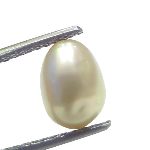 3.06 Ct Certified Natural Venunjula Real Sea Pearl Real Moti For Moon 3.06 Ct Certified Natural Venunjula Real Sea Pearl Real Moti For Moon
