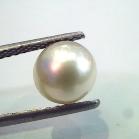 3.07 Ct,6.14 Chaw Natural Basra Pearl,Real Moti Certified *RARE*