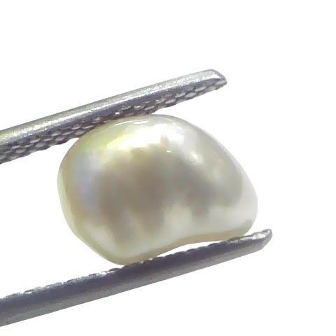3.08 Ct Certified Natural Venunjula Real Sea Pearl Real Moti For Moon 3.08 Ct Certified Natural Venunjula Real Sea Pearl Real Moti For Moon