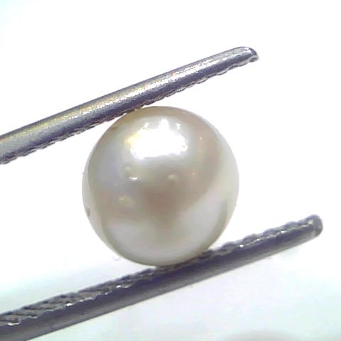 3.32 Ct Natural Certified Real South Sea Pearl Certified Moti