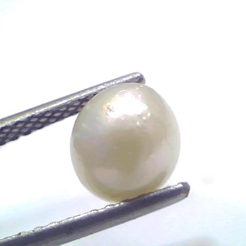 3.34 Ct Natural Certified Real South Sea Pearl Certified Moti